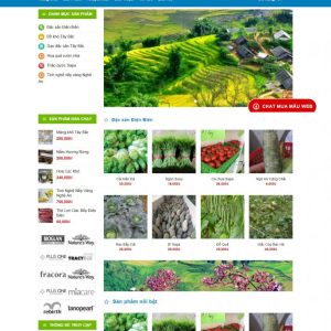 Mẫu bán hàng 055